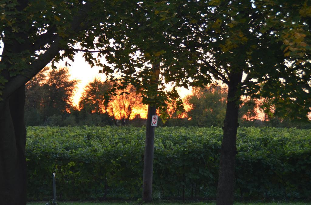 مبيت وإفطار Niagara-on-the-Lake Old Town Country Landing المظهر الخارجي الصورة